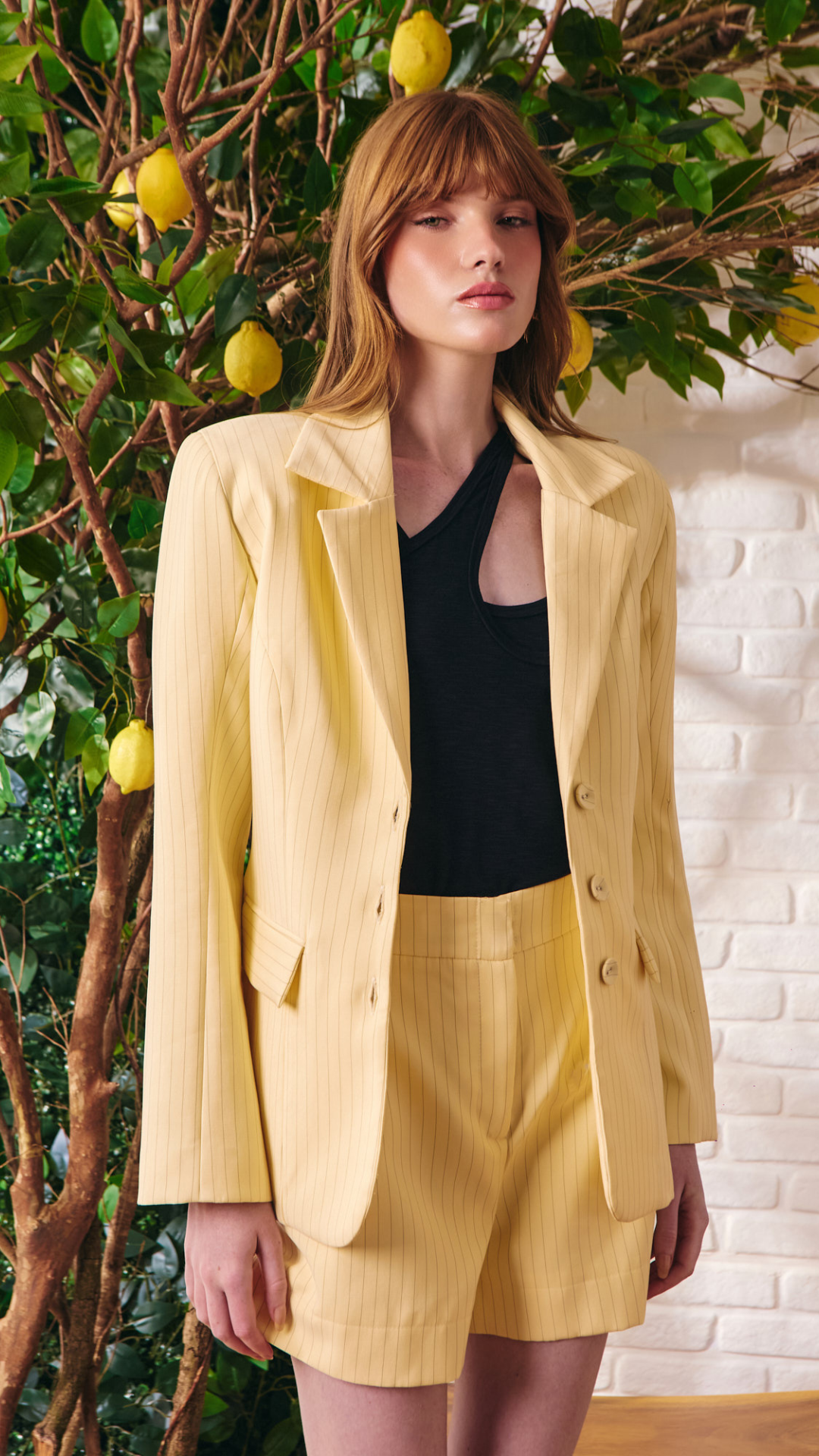 Blazer Risca Bruni Alfaiataria Amarelo Milk